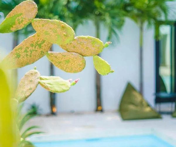Bali Townhouse 3 - Modern 2br With Pool - Perfect Location * Canggu (Bali)